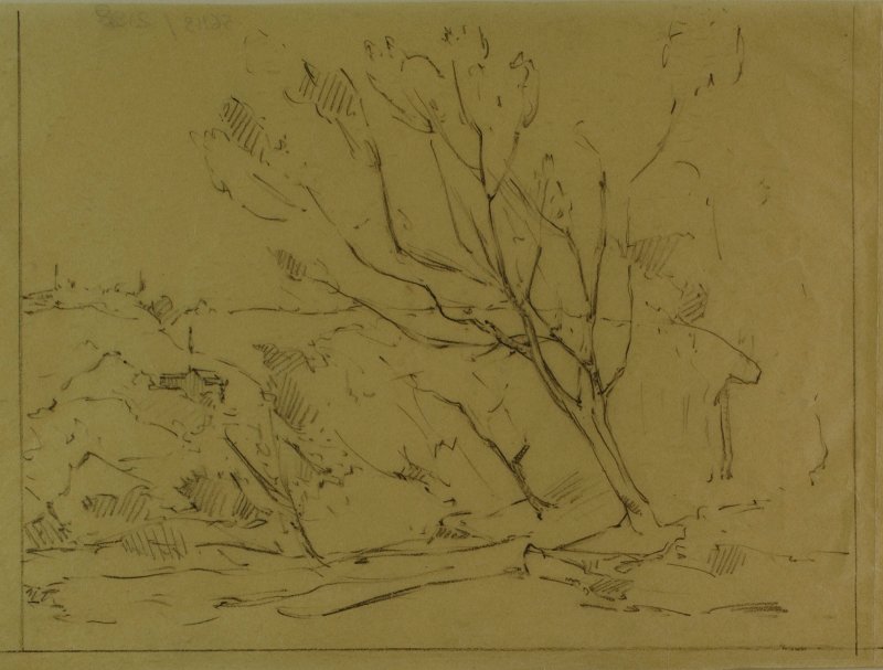 1930-1940 ca. Paesaggio con albero a destra